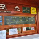 큰꽃지천 | 성산일출봉 인근 가볼만한 곳｜일출랜드 제주 동백꽃 정원과 제주 족욕카페 후기