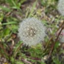 도열농장 이미지