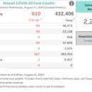 [ 하와이 코로나19 &#39;주간&#39; 방역상황 :: 2024년 8월 21일 발표 ] 신규.누적확진 / 평균 확진자.확진률 /사망자수.. 이미지