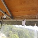 와야농장 이미지