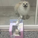 나나까까 이미지