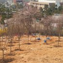 천호대로 이미지