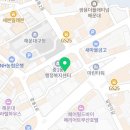 금수여행사