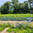 마정1리 이미지