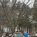 둥지목장 이미지