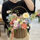 소예플레르 이미지
