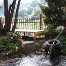 정자나무집민박 이미지