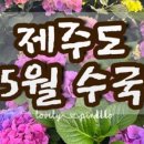 아이엠(IM)투어 이미지