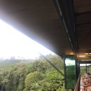 나엘농장 이미지