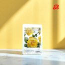 주식회사 넥타홀딩스 이미지