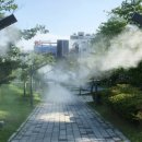 호수공원 관리사무소 옆 이미지