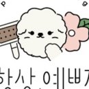 예쁘개 미용 이미지