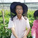 엄마가차려주신밥상 이미지