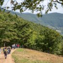 지혜목장 이미지