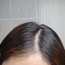 날이 좋아, 미쟝센 6N 초코브라운 염색한 후기 (매트브라운 포함)
