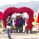 청송사과테마파크 국민일보