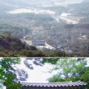 서해여관 Daum카페