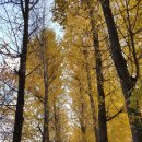 송정제방길 이미지