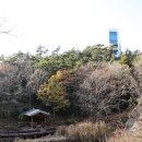 유달산둘레길 이미지