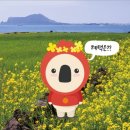 오즈렌터카 네이버블로그