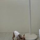 버스정류장(첨단1동주민센터) 이미지