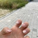 호타루네일