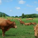 봉천농장 이미지