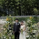 서울시 공공예식장 26년 5월 북서울꿈의숲 웨딩 창녕위궁재사 야외결혼식 프롬히얼 후기
