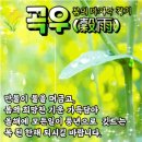 오늘은 봄의 마지막 절기인 穀雨＜곡우＞ 입니다 // 이미지 이미지