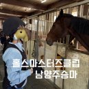 홀스마스터즈 승마클럽 이미지