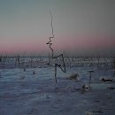 골드워시 이미지