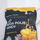 메가폴리스1로 | 목 관리용 사탕, 프로 메가폴리스 캔디 후기