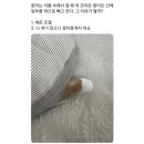 성모카센타 | 2023.08.14 - 2023.08.20