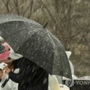 서울막창 이미지