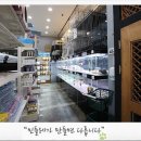 계룡애견 이미지