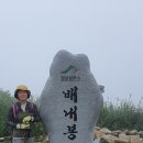 갑수씨랑 2박3일 울산여행 1일째- 간월산(1069m, 2021.8.16)산행 이미지