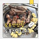 도봉로-6 | 도봉산양고기 솔직 후기 생삼각갈비 맛집 야장 양고기집 리뷰