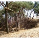 소석농장 Daum카페