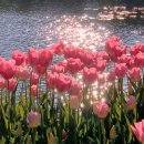 빛고을시민문화회관 | 콘서트 I <Voice of Spring>‘ / 공연 소개/ 예매 정보/ 광주 3월 공연/ 빛고을시민문화회관/ 광주문화예술