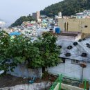 초장동13 이미지