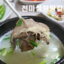 박존옥 천마설렁탕 & 갈비탕 | 전남 영광 법성포 점심 혼밥 박존옥 천마설렁탕갈비탕