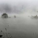 남하대야리 이미지