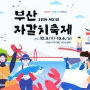 부산자갈치 이미지