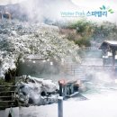 온천스파벨리 이미지