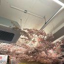 충무코다리 | 대구 뭉티기 맛집 찾는다면? 동대구역 근처 출근생고기 솔직후기