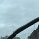 단군태권도장 | (폭우)비오는날 가평 빠지 후기🌧️/ 가평 빠지 추천 ‘블랙 수상레저’ / 애견동반 가평 수상레저, 수상...
