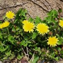 남해-265 이미지