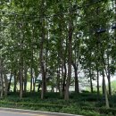 양재시민의숲역 1번출구 | 보아즈ㅣ서울 서초구 양재천 양재시민의숲 대형 브런치카페 데이트카페 소개팅카페 대관