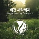 세이브타임
