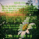 문지원의열정스시